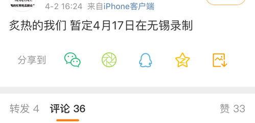 娱乐吃瓜酱文件传输,揭秘文件传输背后的精彩故事