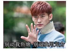 明星表情包情侣,甜蜜互动，笑点满满的爱情故事